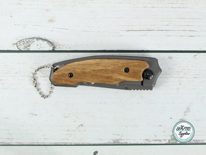 Pocket knife keychain
